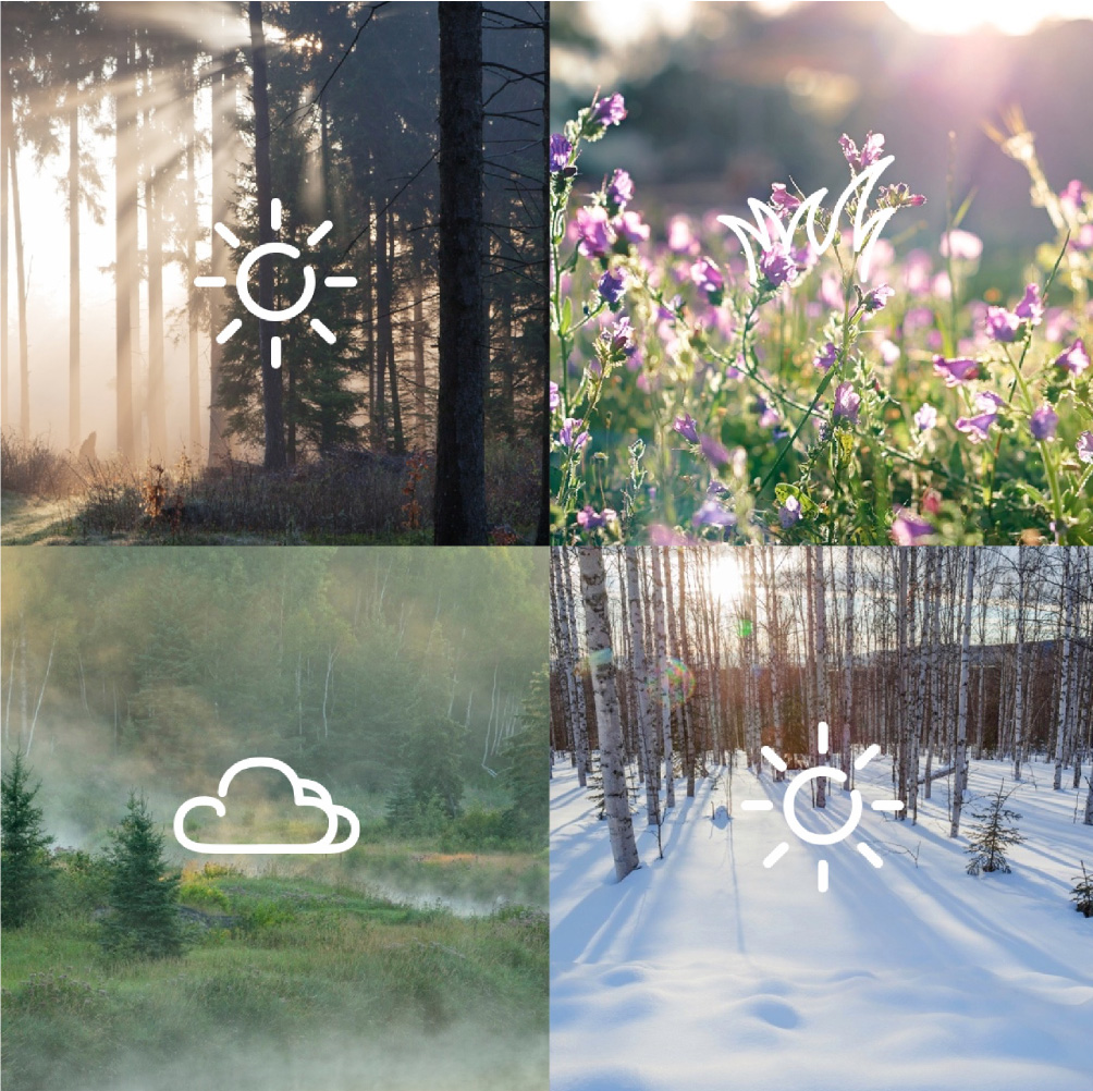 1545395425108322.jpg 2的副本.jpg