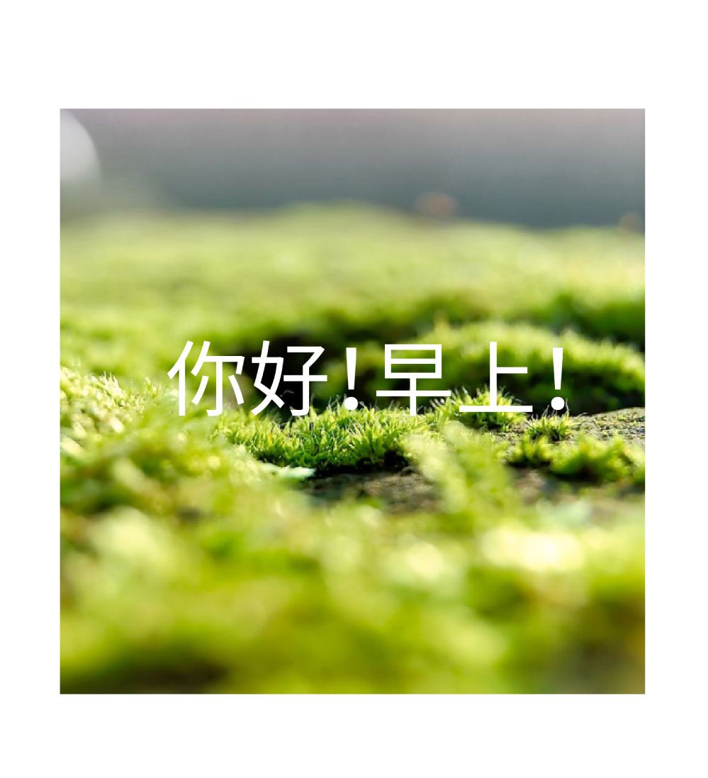 1545395493856052.jpg 11.jpg