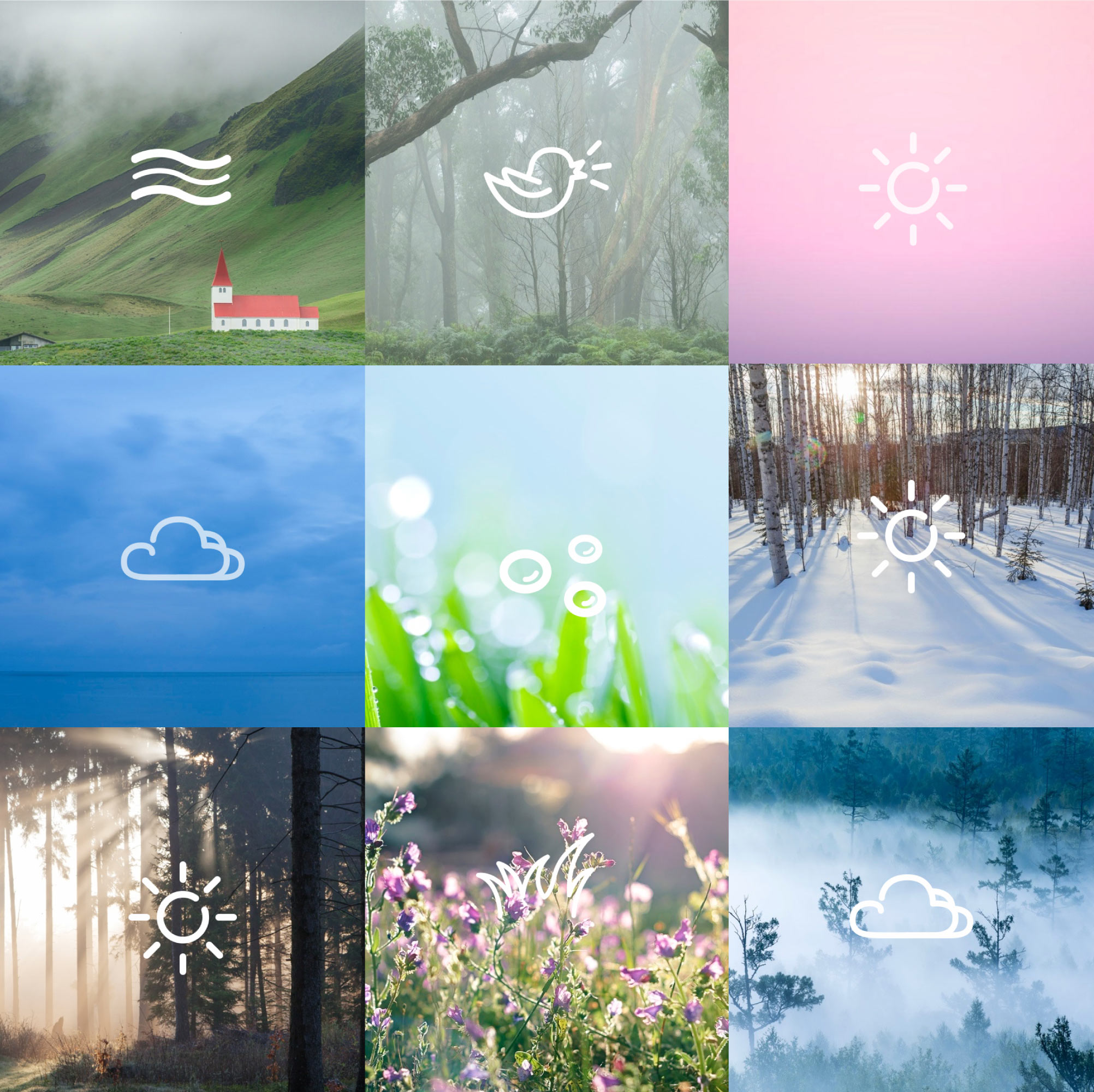 1545541970981099.jpg 1.jpg