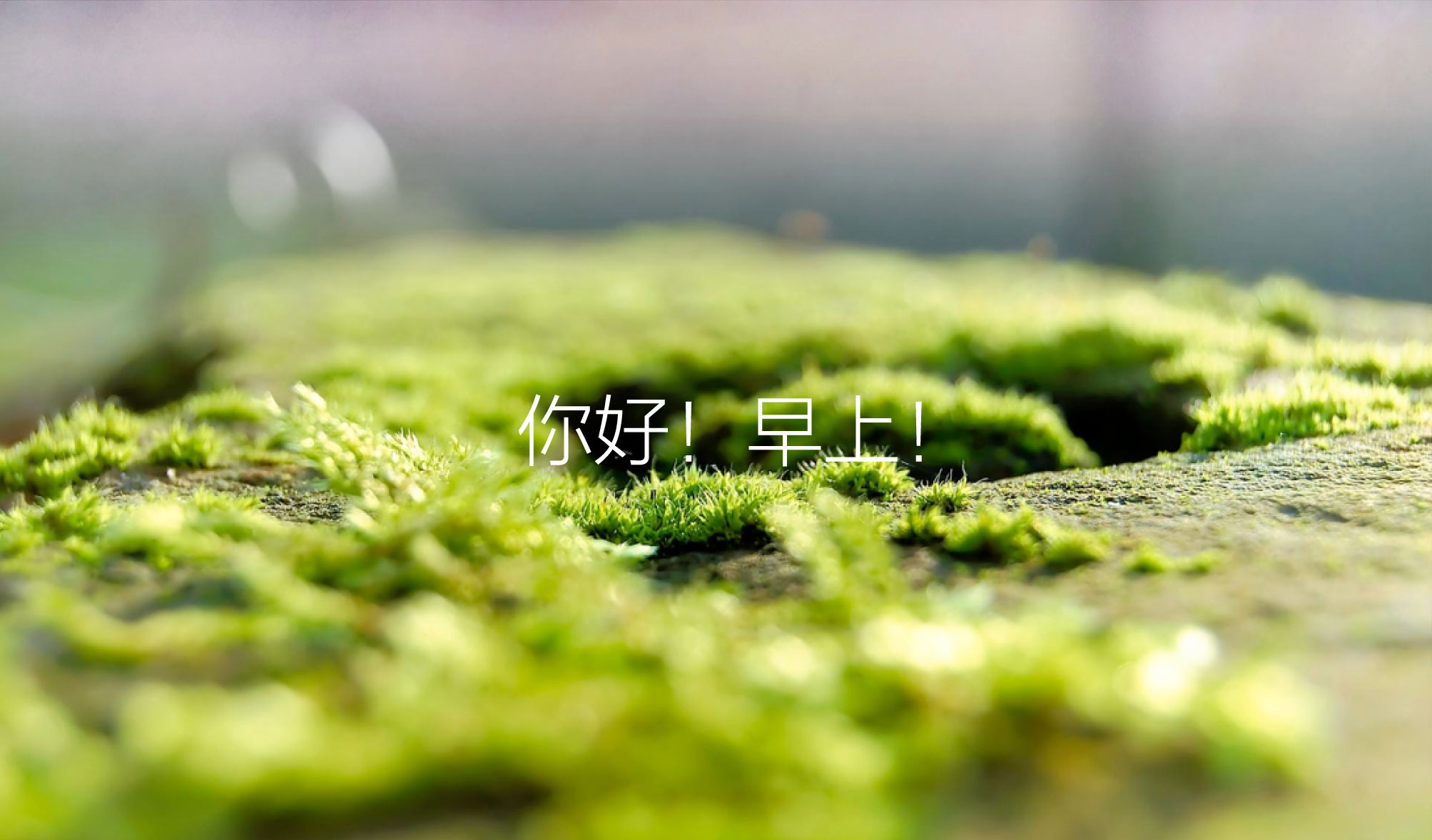 1545542677928843.jpg 10.jpg