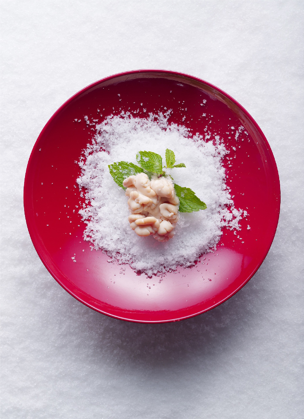 1545636027652544.jpg 4的副本.jpg